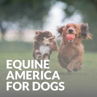 Equine America For Dogs