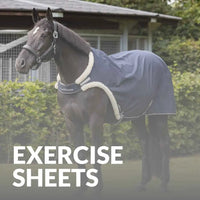 Explore High-Quality LeMieux Exercise Sheets – Get Yours Today