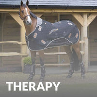 LeMieux Horse Therapy Essentials – Buy Now For Better Recovery