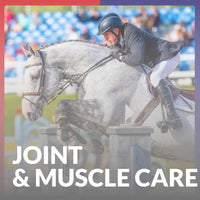 Equine America Joint muscle care