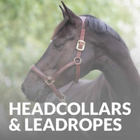 LeMieux Headcollars & Leadropes – Comfort & Style for Every Horse