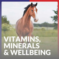 Equine America vitamins minerals