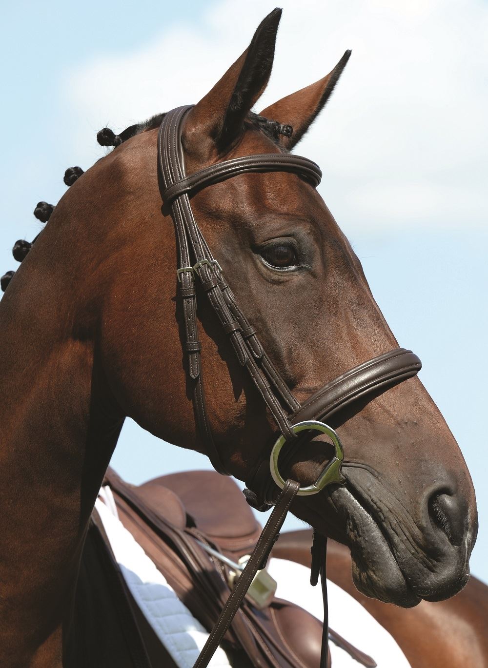 Plaited bay horse wearing a brown padded raised leather cavesson bridle against a blue sky