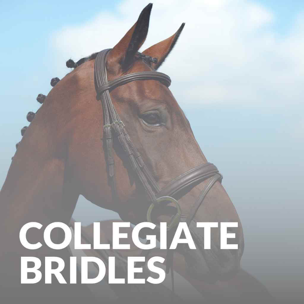 Explore Collegiate Bridles & Leatherwork | Just Horse Riders | Shop Now