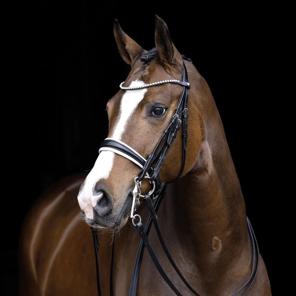 Enhance Control with Double Bridles | Just Horse Riders