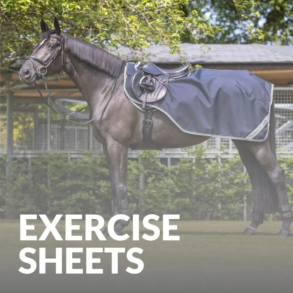 Exercise Sheets