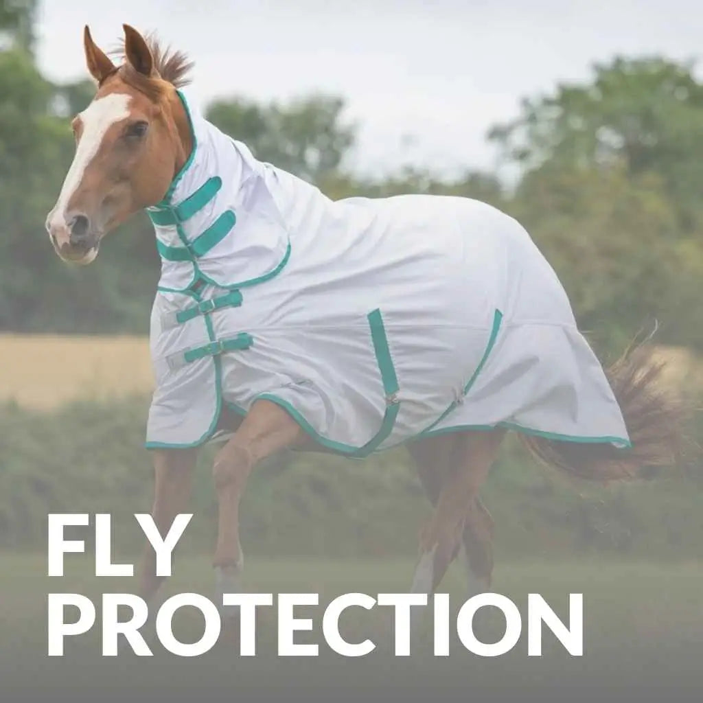 The Best Fly Protection for Horses: Gear Up This Season