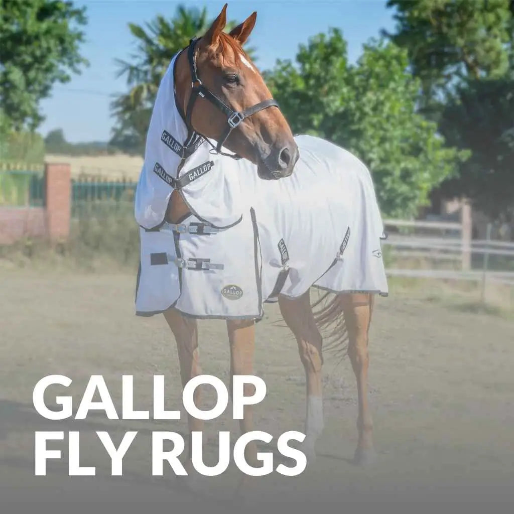 gallop equestrian fly rugs - just horse riders