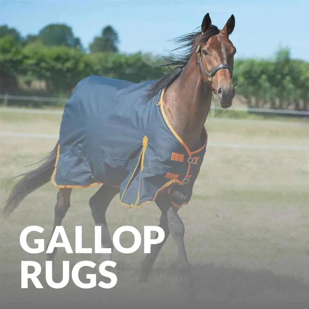 gallop equestrian rugs - just horse riders