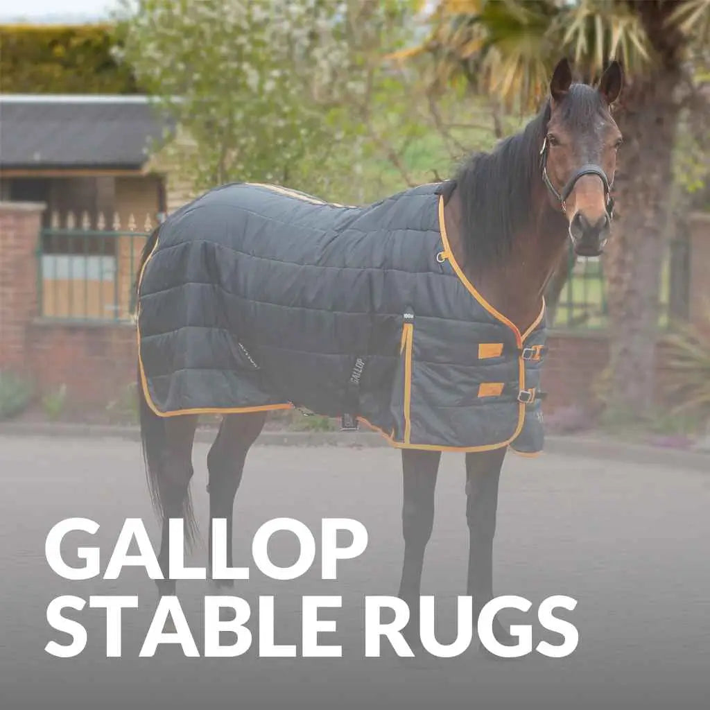 gallop equestirna stable rugs - just horse riders