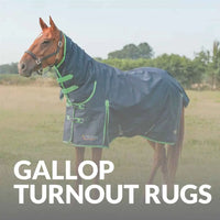 Gallop Equestrian Turnout Rugs: Where Durability Meets Value