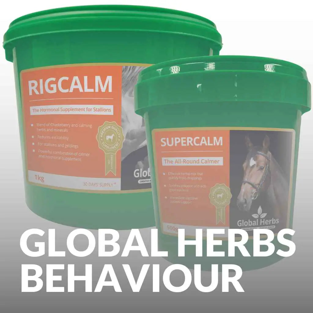 Global Herbs Horse Behaviour Supplements - just horse riders