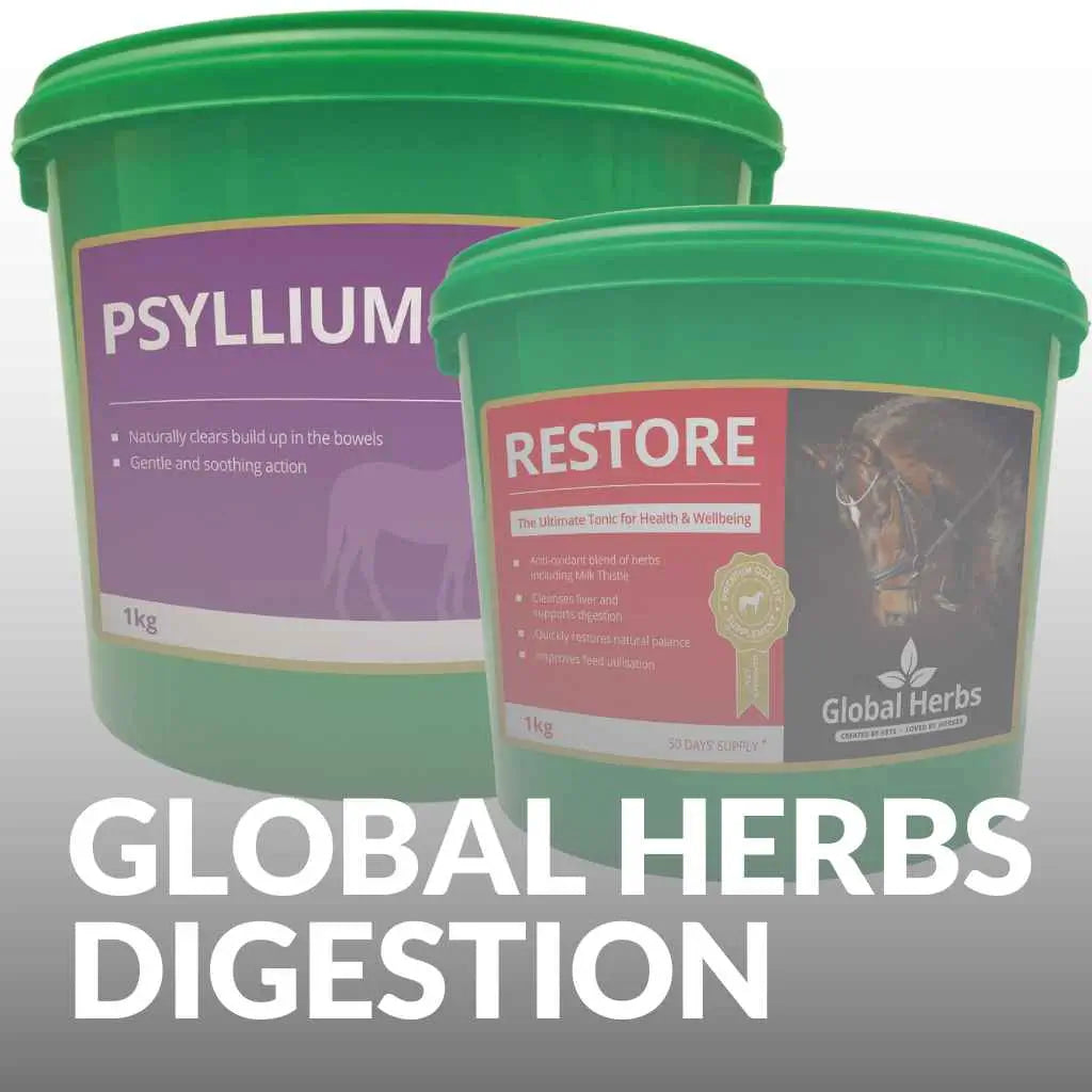 Global Herbs Horse Digestion Supplements - just horse riders