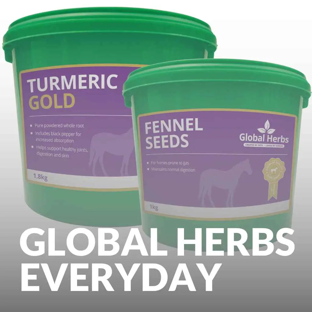 Global Herbs Everyday Horse Supplements - just horse riders
