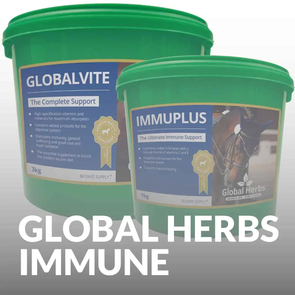 Buy Global Herbs Horse Immune Supplements Now - just horse riders