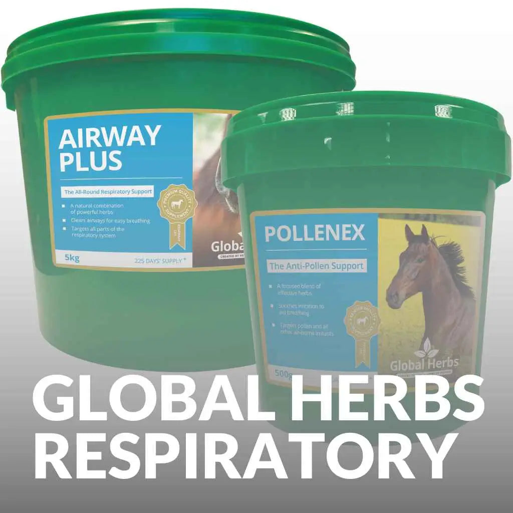 Global Herbs Airway Relief for Horses - just horse riders