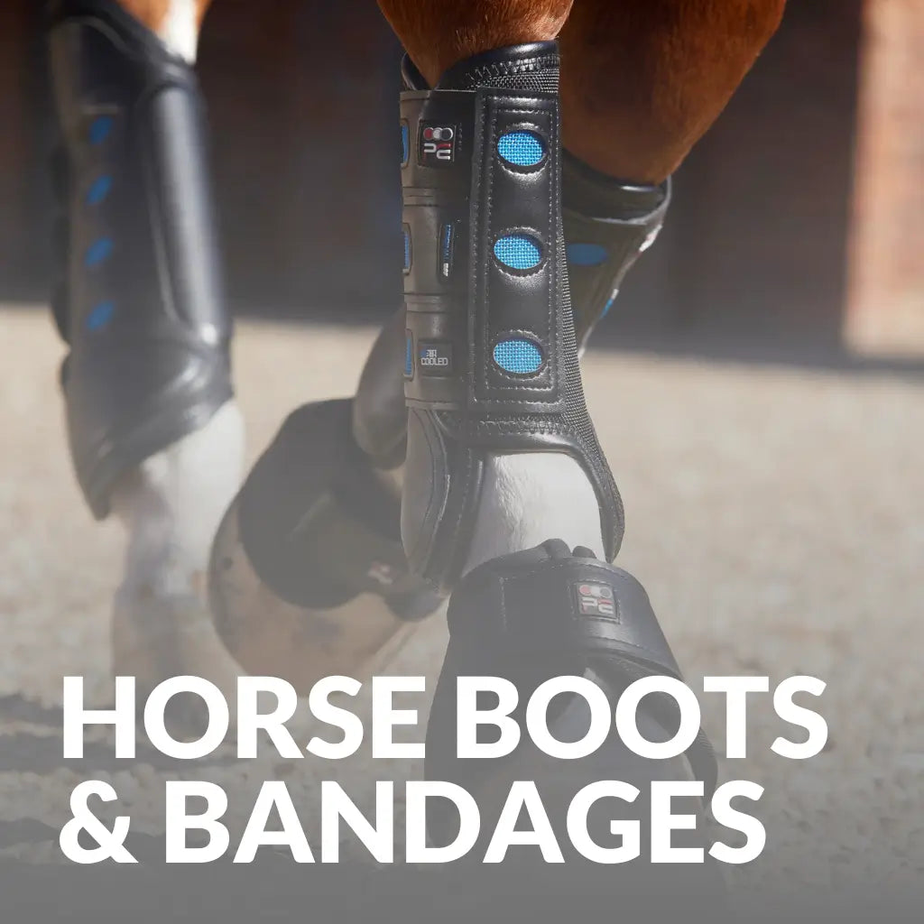 Horse Boots & Bandages