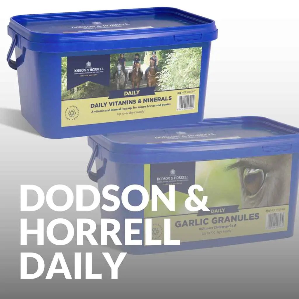 Shop The Best Dodson & Horrell Horse Supplements Whole Range