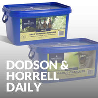 Buy Dodson & Horrell Daily Supplements Now – Enhance Your Horse's Health