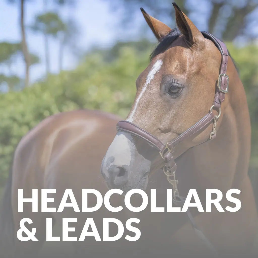 Horse Headcollars & Lead Ropes | Padded, Leather & Field-Safe | Just ...