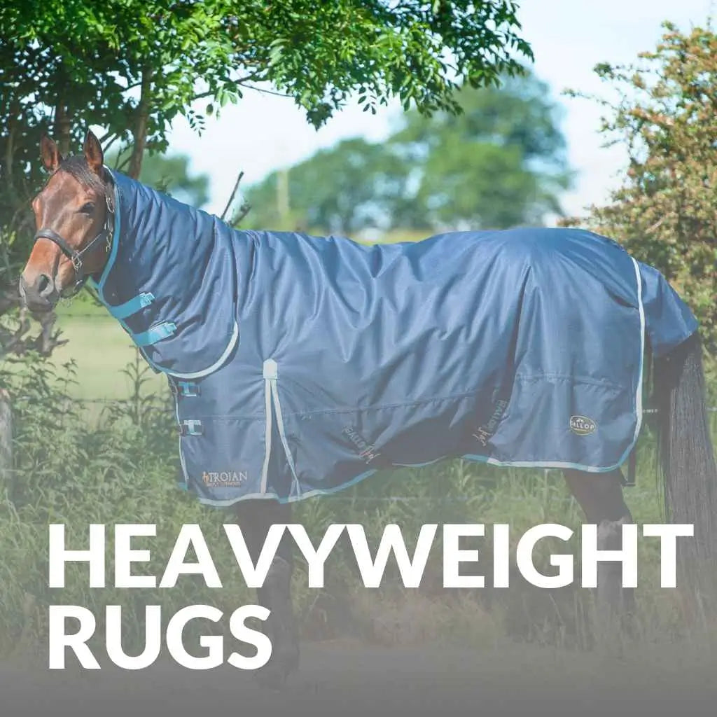 Heavyweight Horse Rugs: Combining Comfort & Equestrian Elegance