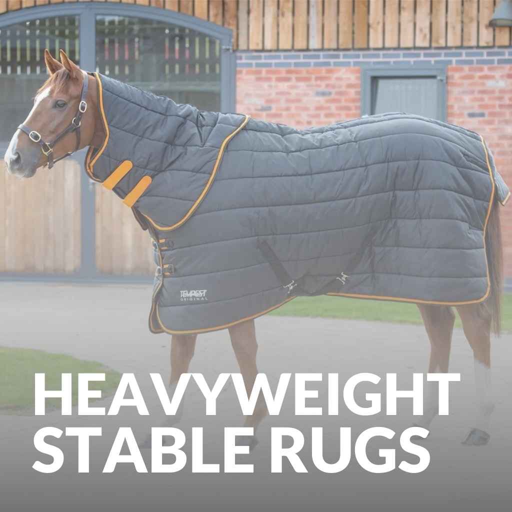 Shop The Best Heavyweight Stable Rugs for Horses - just horse riders