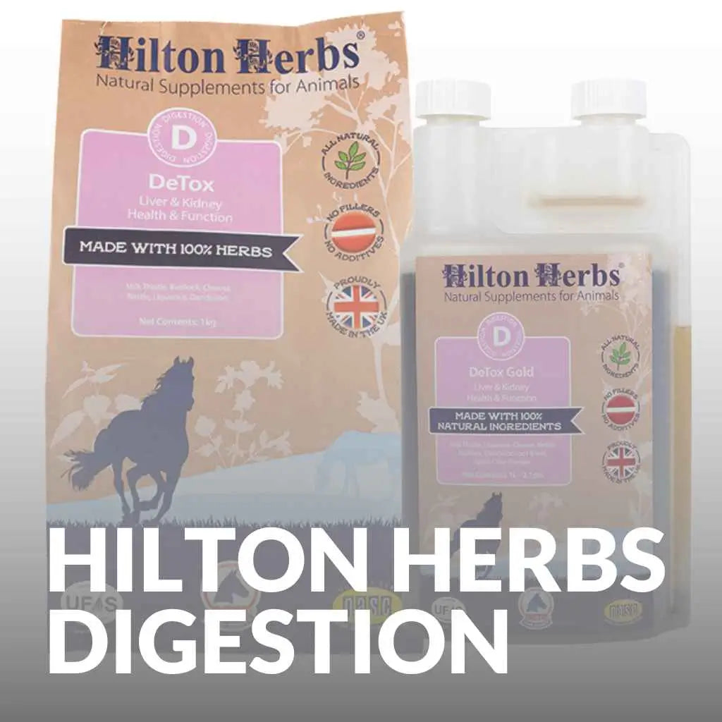 Buy Hilton Herbs for Horse Digestion - Natural Supplements - just horse riders