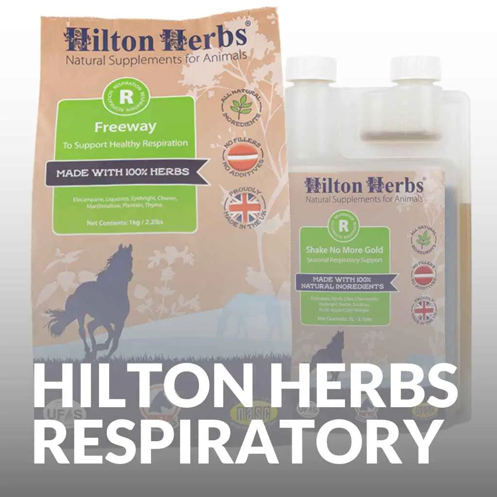 Shop Hilton Herbs for Healthy Horse Respiratory Function - Buy Now! - just horse riders