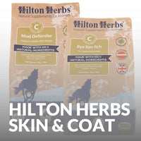 Buy Hilton Herbs for Horse Skin & Coat - Natural Equine Care