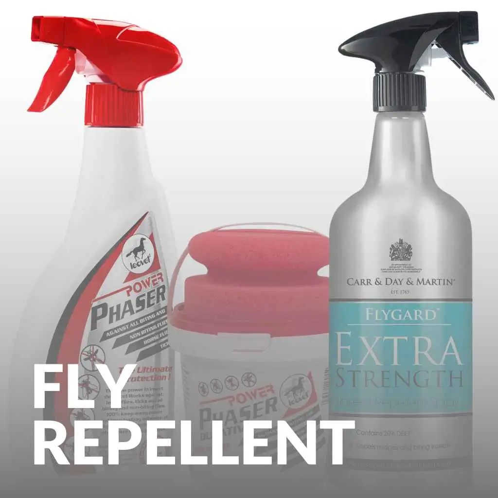 Buy The Best Horse Fly Repellent | Top Picks For This Summer