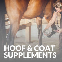 Horse Hoof and Coat Supplements: Boost Your Horse's Health and Radiance