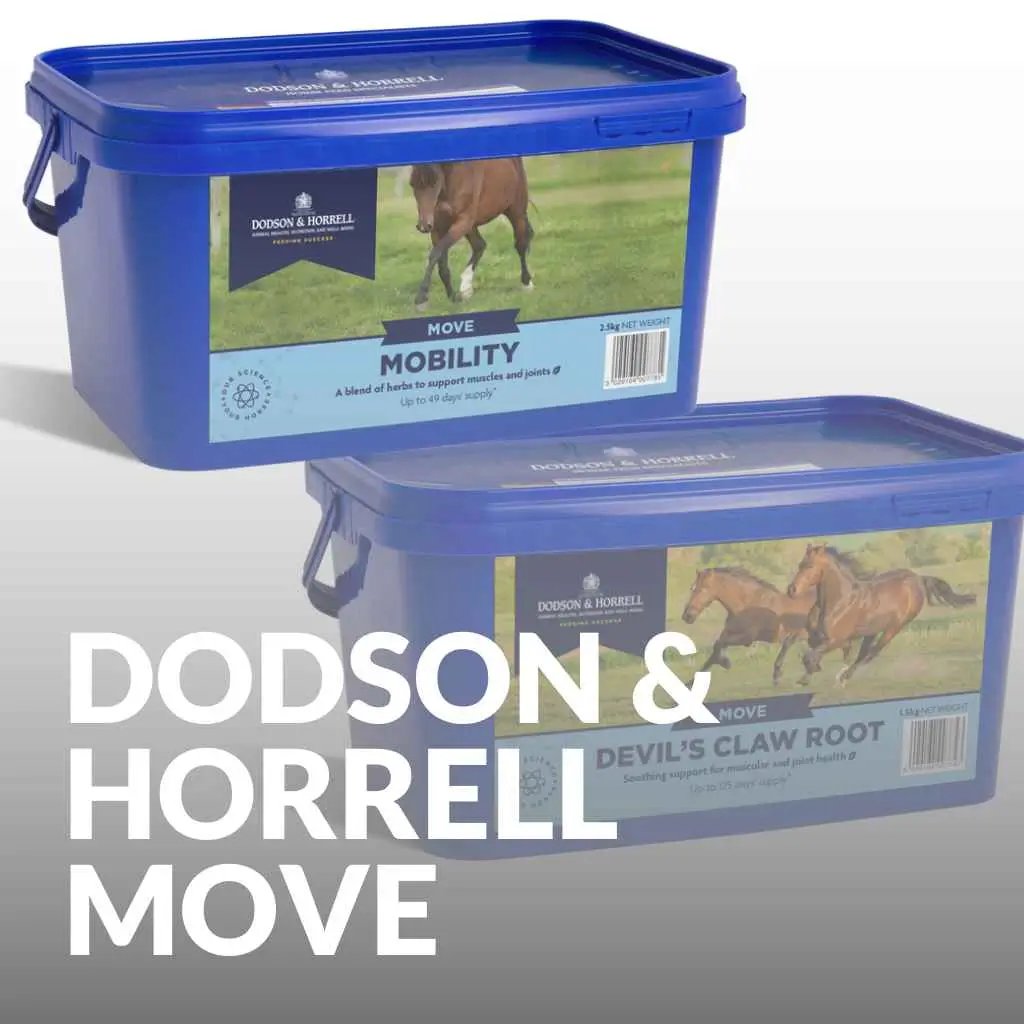 Shop The Best Dodson & Horrell Horse Supplements Whole Range