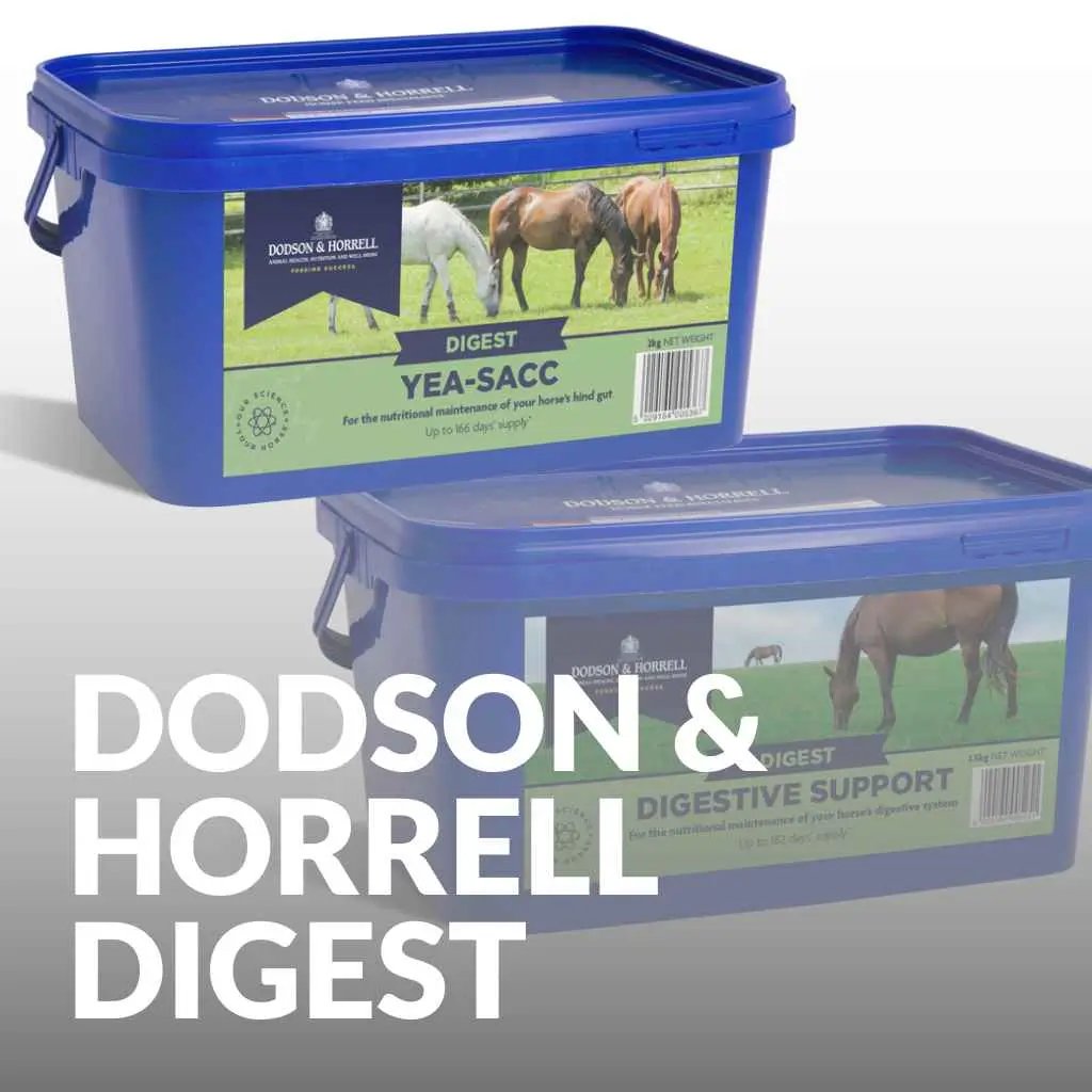 dodson and horrell support digestion - just horse riders