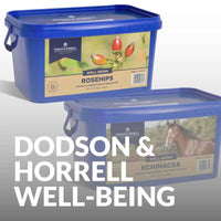 Explore Dodson & Horrell Supplements for Horse Wellbeing & Immunity
