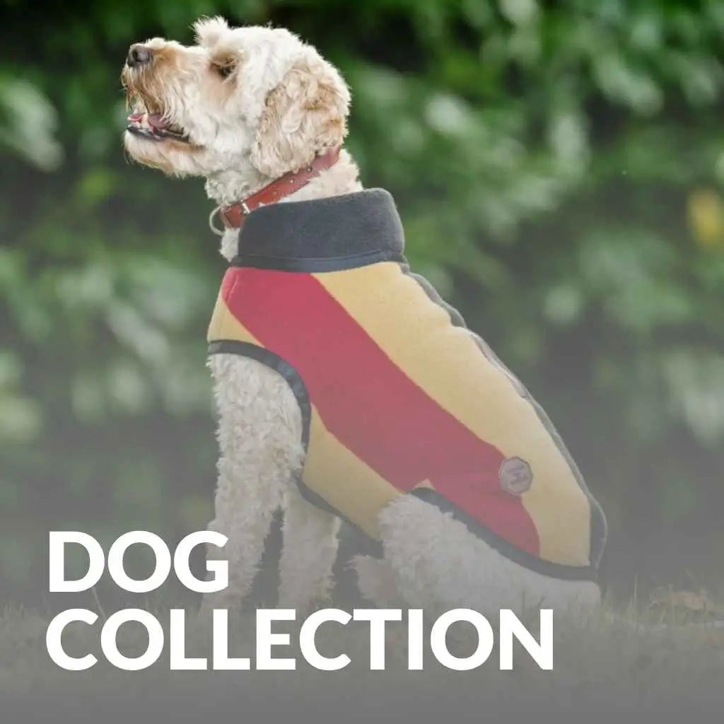Horseware Dog