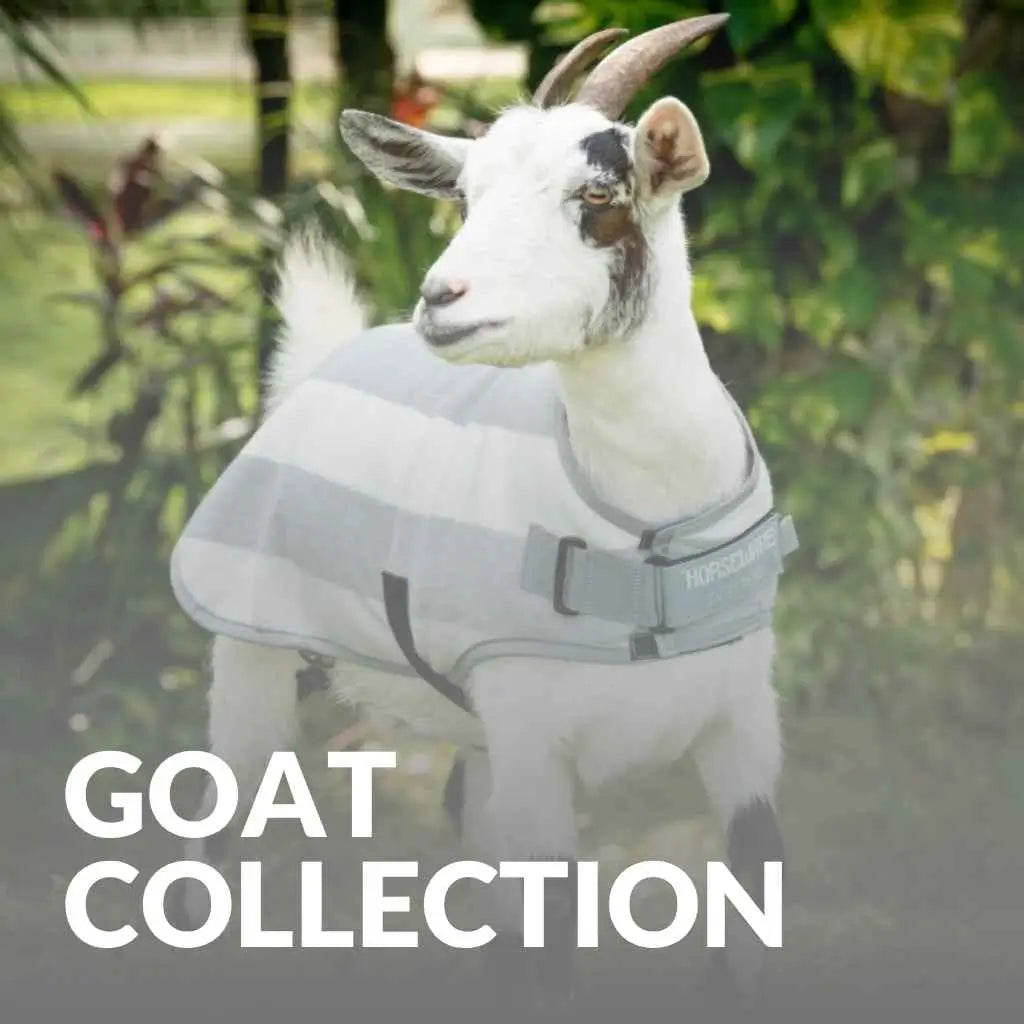 Horseware Goat