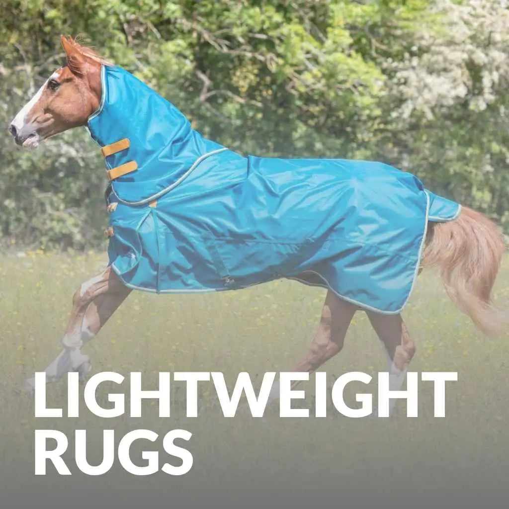 Lightweight Horse Rugs: Style, Comfort, and Protection All-In-One