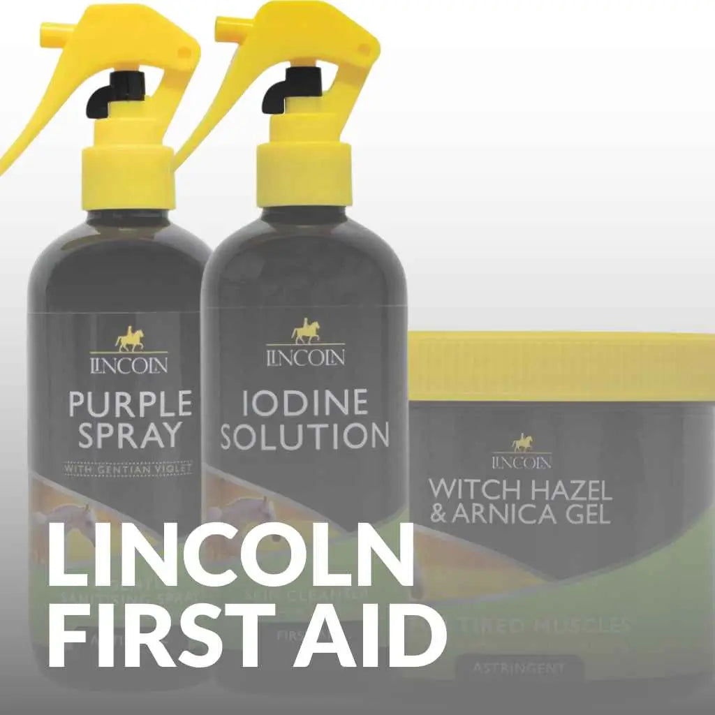 Buy Essential Lincoln First Aid Kits for Every Horse Owner - just horse riders