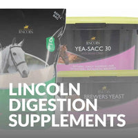 Buy Now: Lincoln Horse Digestion Supplements for Healthy Equines
