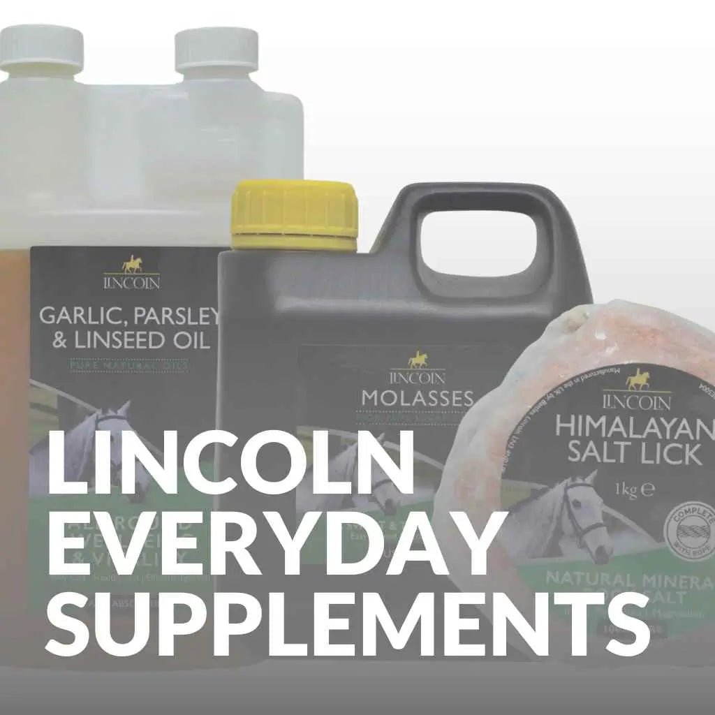 Lincoln Everyday Horse Supplements: Optimal Nutrition for Your Horse - just horse riders