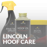 Buy Now: Lincoln Horse Hoof Care Products for Happy, Healthy Horses