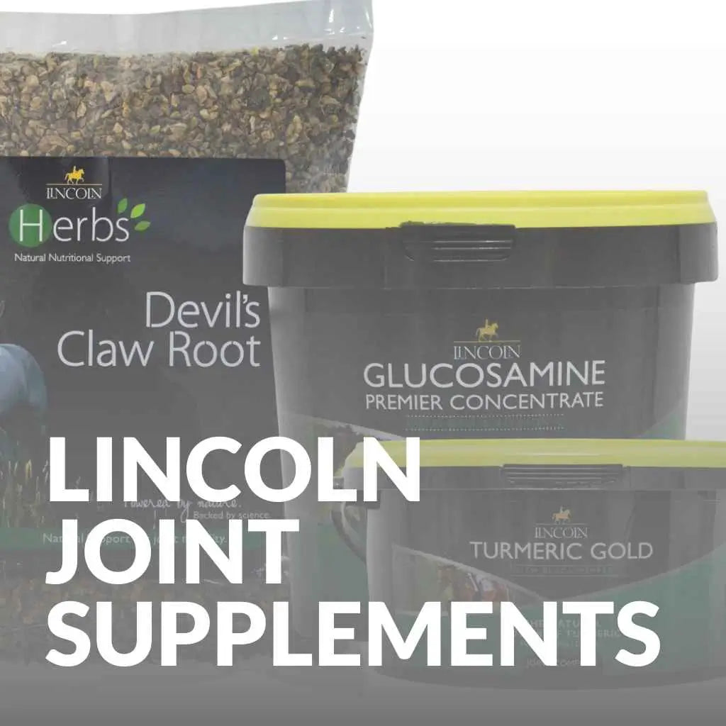 Explore Lincoln's Top Joint Health Supplements for Horses