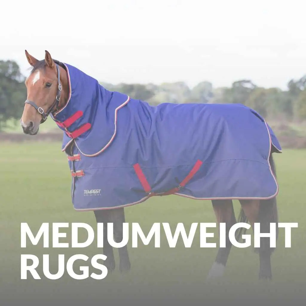 Mediumweight Horse Rugs: A Fusion of Comfort and Style