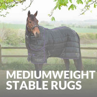 Shop Now: The Best Mediumweight Horse Stable Rugs