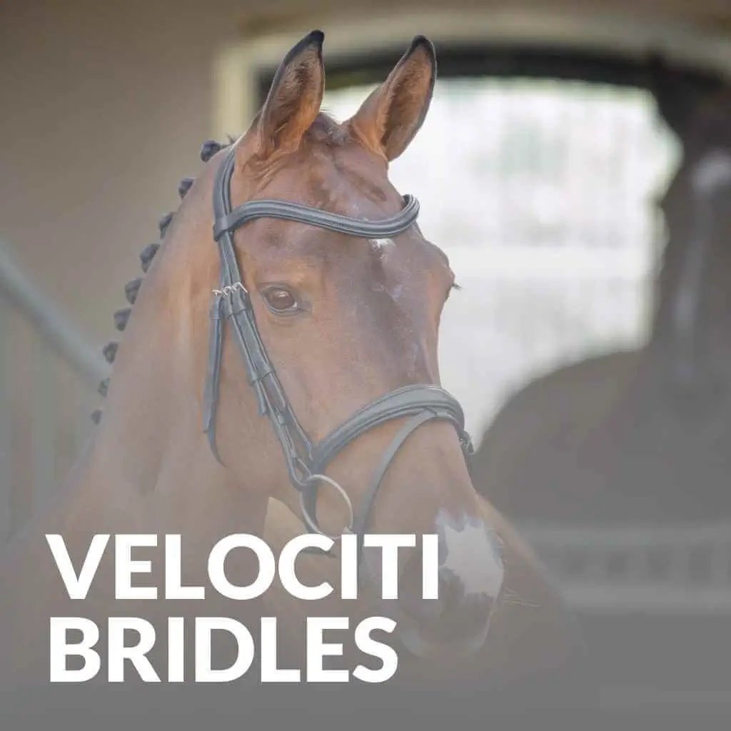 shires velociti horse riding bridles - just horse riders