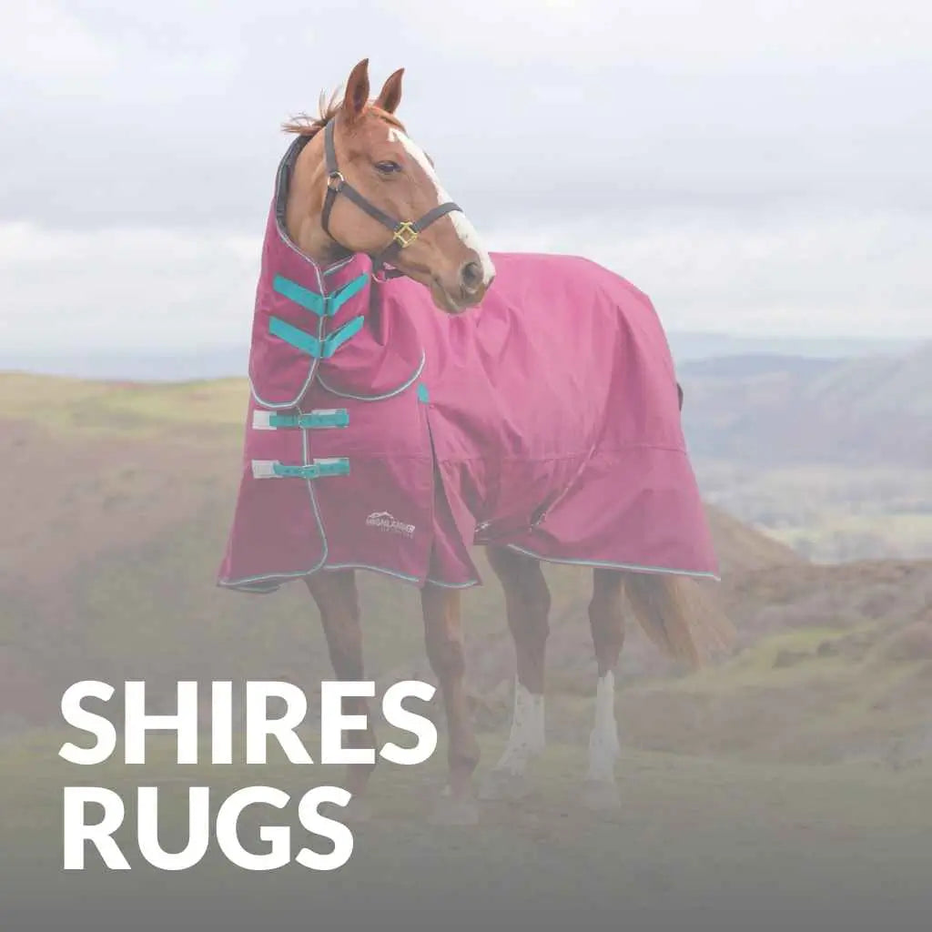 shires equestrian rugs - just horse riders