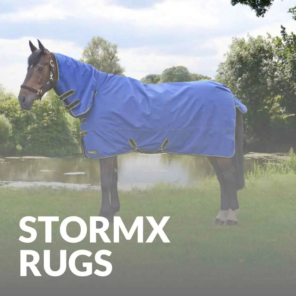 StormX Equestrian Rugs: The Ultimate In Horse Comfort