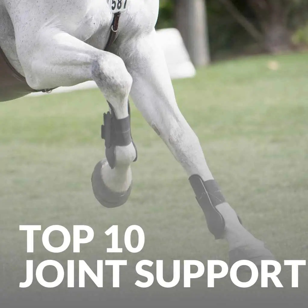 top 10 joint support - just horse riders