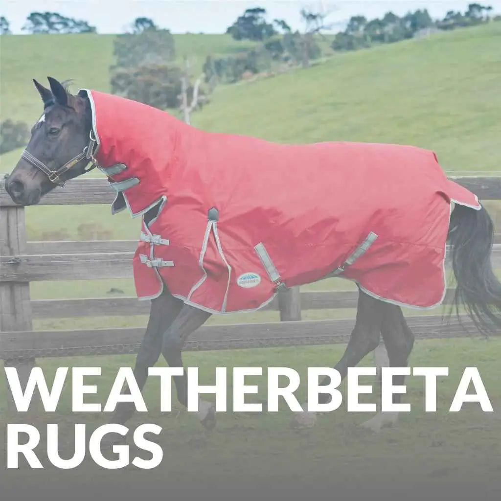 Weatherbeeta rugs - just horse riders