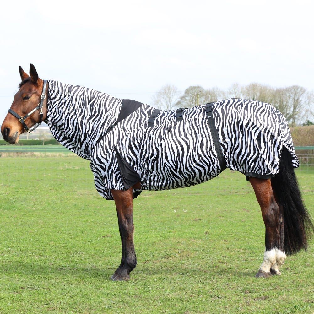 Bay horse standing in a green paddock wearing a zebra-print full-neck fly rug